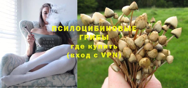 ECSTASY Алексеевка