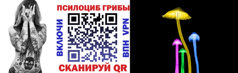 как найти   Пикалёво  Псилоцибиновые грибы Psilocybe 